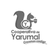 logo cooperativa yarumal